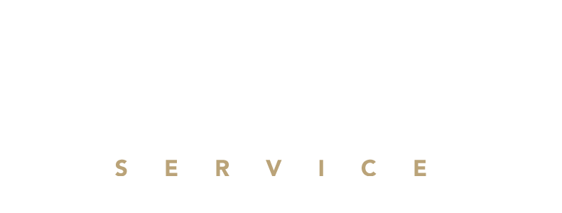 Limousine Service Rome